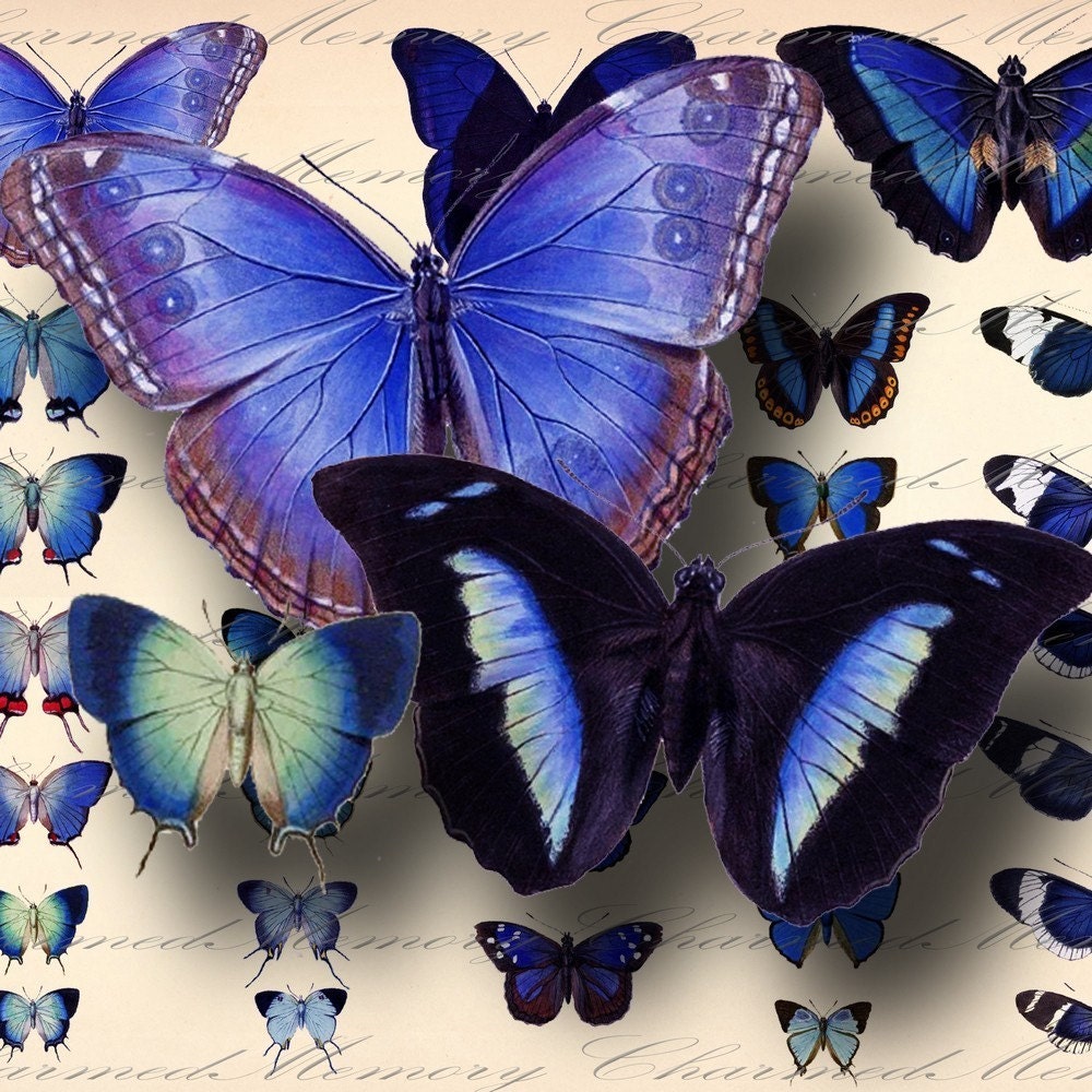 Blue Butterfly Digital Collage Sheet ON by CharmedMemoryCollage