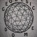 Geodesic Dome T Shirt Sizes S, M, L, XL heather gray r. buckminster fuller