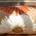 Special Listing for Rose: (2) Duralee Large Floral Designer Fabric 12 X 24 Accent Throw Pillow Covers in Toast