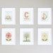 Nature Inspired Children's 4x6 Prints - Set of 6