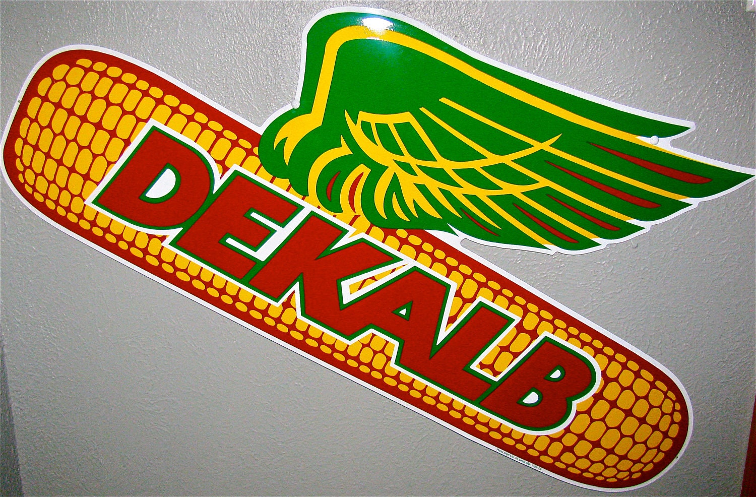 dekalb corn shirt