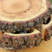Storage Stump Rustic Log Jewelry Box Natural Puzzle Box Drawers Organizer Gift