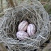 Romantic French Inspired Shabby Chic Handmade Bird Nest with Pink Script Eggs by AMarigoldLife