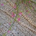 Rag Rug Shabby Cottage Sweet Cream Crocheted Textured
