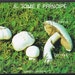 2 Postage Stamp Sheets - Mushrooms - Toadstools
