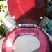Ring Around The Rosey Great 1960s 1970s Homart Red Pearl Toilet Seat