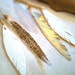 FREE SHIPPING White Leather Painted Feather Glitter back Earrings with Gold Chain
