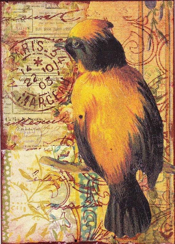Bird V. An original collaged / mixed media ACEO