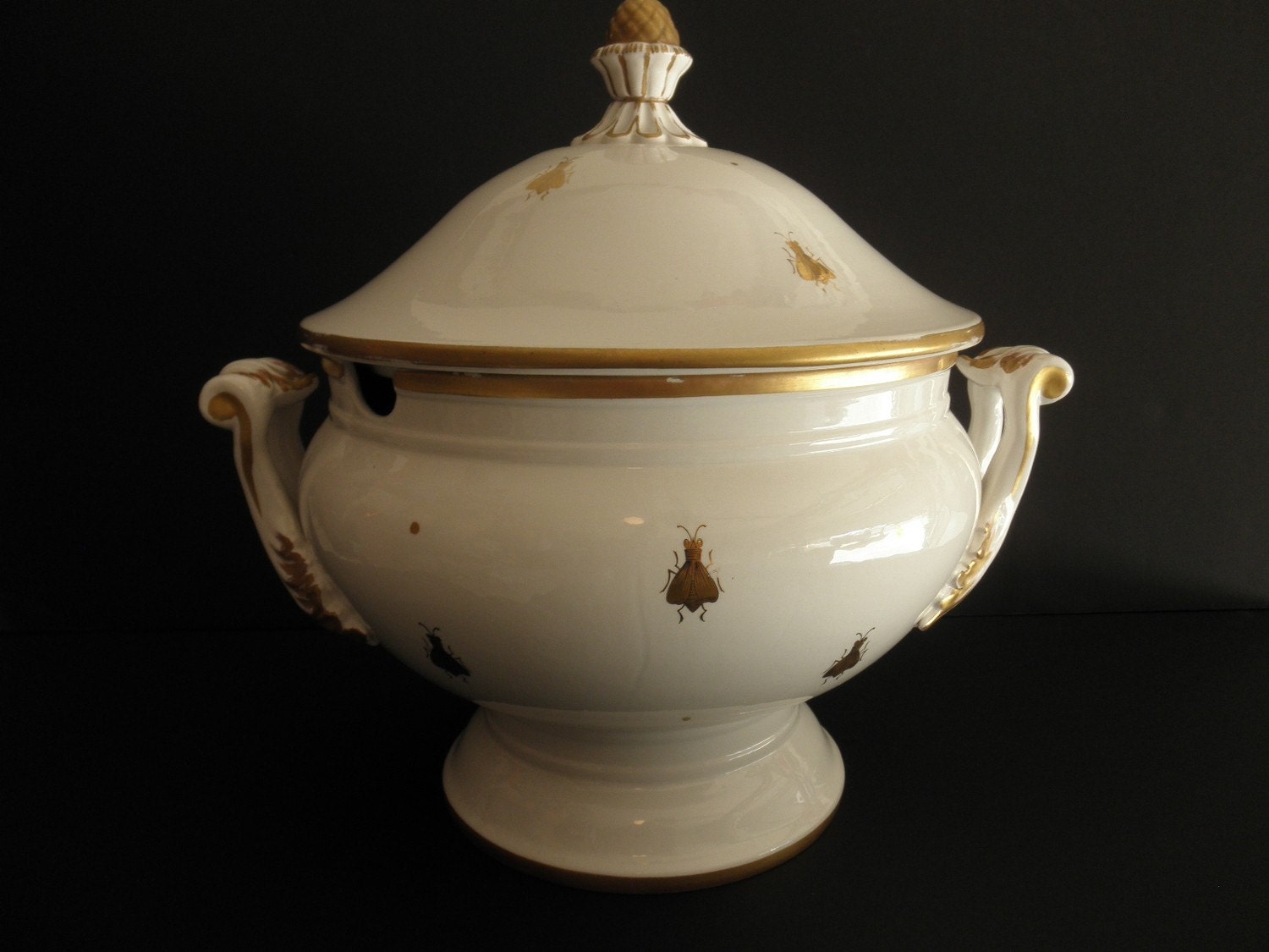 MADE IN ITALY Ceramic SOUP TUREEN with Gold Flies Design
