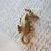 vintage SEAHORSE brooch - gold tone metal