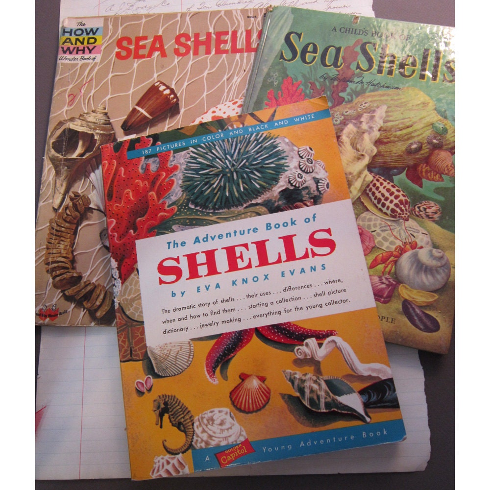 3 Vintage Childrens Books Sea Shell Books Circa By Theartfloozy