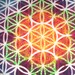 Flower of Life ChakraTees
