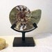 Sliced Ammonite Fossil w/ Metal Stand Ancient Nautilas from Madagascar (11tu313A)