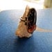 Victorian 10K Moss Agate Cabochon Ring Size 5 Incredible Detail