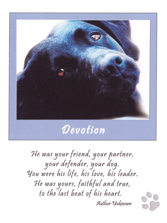 items-similar-to-sympathy-card-for-loss-of-dog-on-etsy