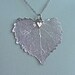 Silver Cottonwood Leaf Necklace - GENUINE Leaf - gift, birthday, wife, mother, sister, daughter, bridesmaid