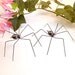 Two Hanging Black Spiders Daddy Long Legs