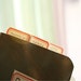 Red border Line INDEX Stickers (150 stickers)
