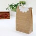 French Letters print Kraft Paper Bags - M (25 bags)