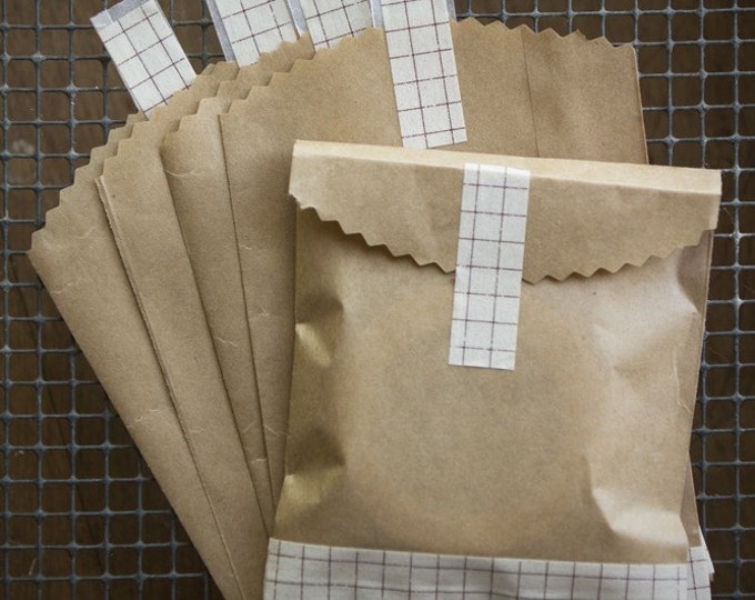 Kraft Bag Envelopes with Brown Grid Washi Tape 10 pieces 4x6