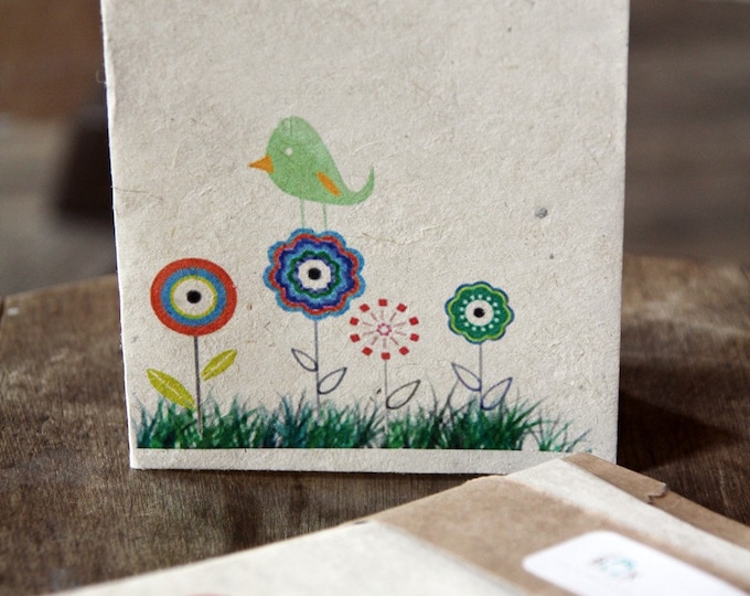 Free U.S. Shipping w additional purchase Plantable Greeting Cards