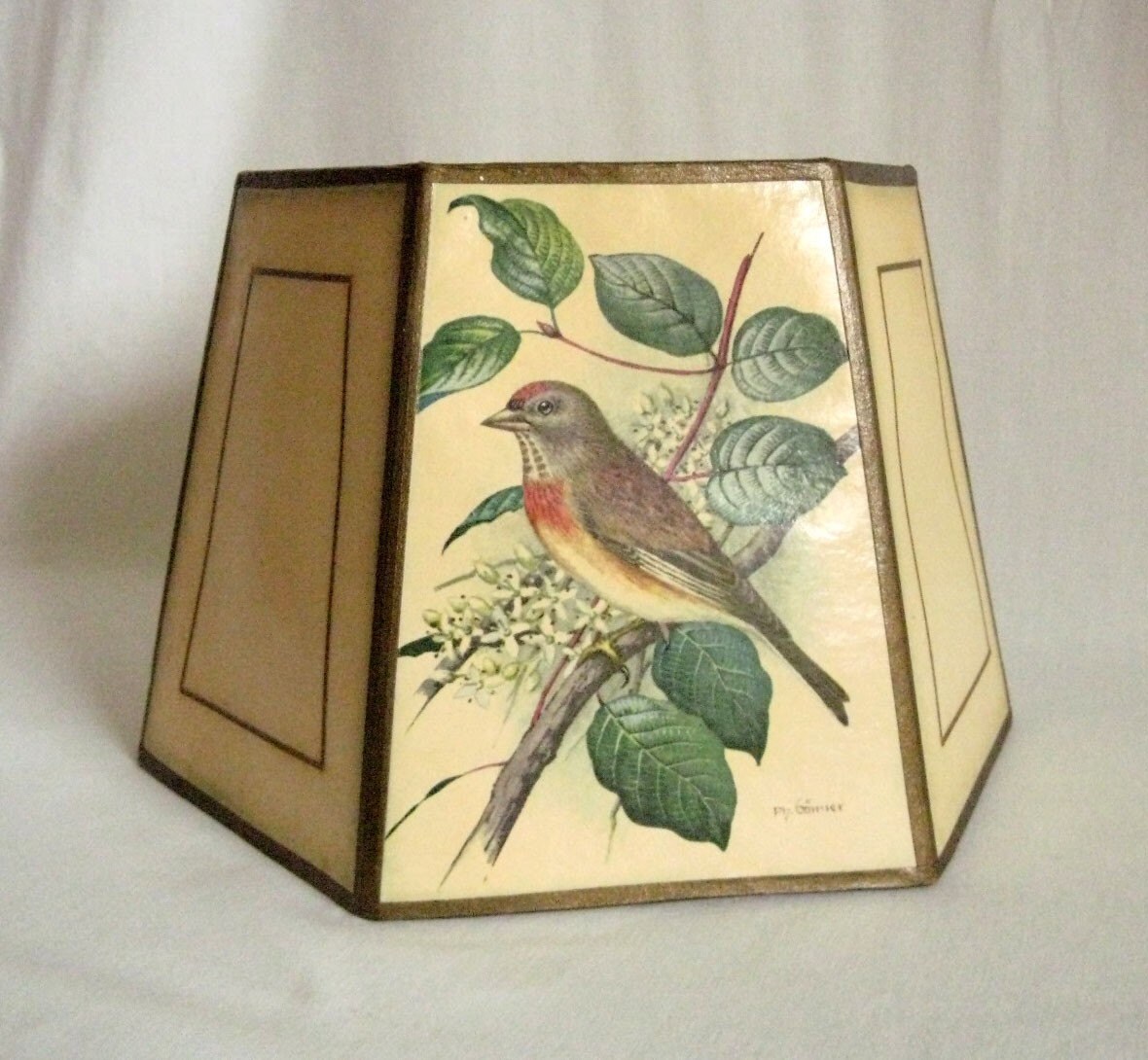 Vintage Bird Lamp Shade