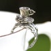Alice Teacup Ring , Adjustable Band, American Made Pewter