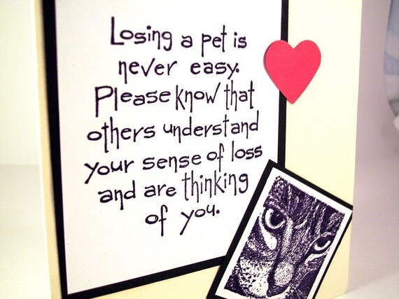 cat sympathy card death of pet cat condolences