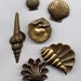Seashell Assortment No.1 Brass Metal Stampings