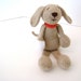 Hand Knit Dog - Looking For A Good Home