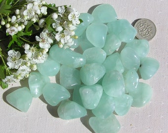 10 Green Prehnite Crystal Tumblestones, Green Crystals, Chakra Crystals, Crystal Collection, Feng Shui, Meditation Crystals, Scrying Stone