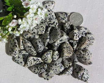 12 Dalmatian Jasper Crystal Tumblestones, crystal collection, chakra crystals, reiki, jasper tumblestones, base chakra, meditation stone