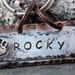 Rocky Pet ID Tag Personalized with your pets name number and address