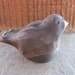 Ceramic Bird Black Raku Pit Fired with Goldleaf Chickadee 14, Handmade by Licia Lucas Pfadt