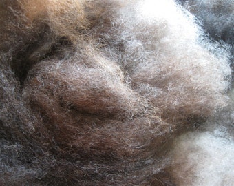 Dakota Natural - Biota Spinner's Web, 4 oz. - Fiber Blend for hand spinning, felting, wool crafts