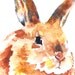 Bunny Rabbit Watercolor Note Card Set