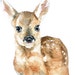 Deer Fawn Watercolor Original Painting