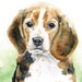 Beagle Watercolor Note Card Set