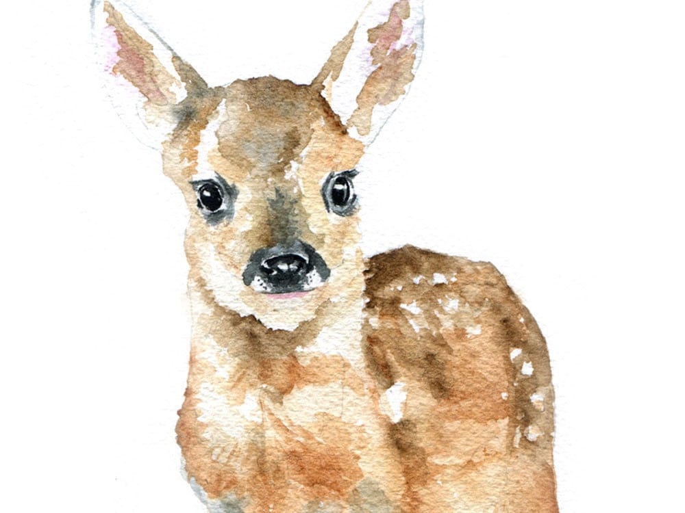 Deer Fawn Watercolor Original Painting