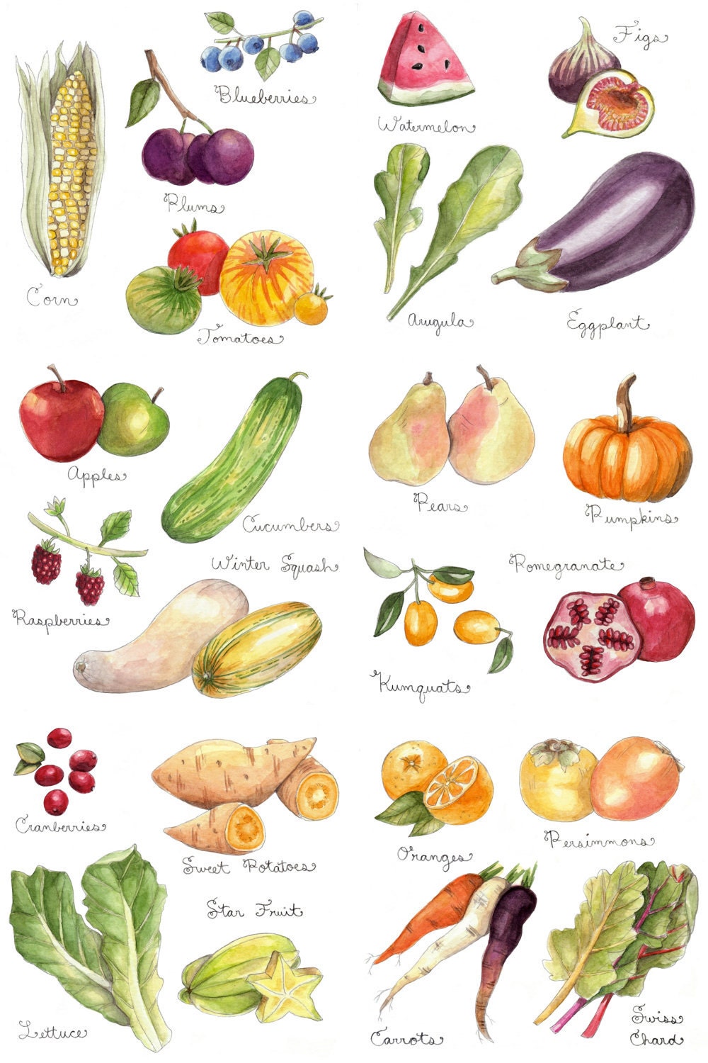 Fruits and Vegetables Print