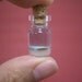 Bastard halibuts are bottom of the sea in a tiny bottle
