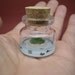 Heart island, there are many fish and turtle around it in a tiny bottle 1