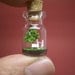Tiny green tree and a couple in a tiny bottle ver.4