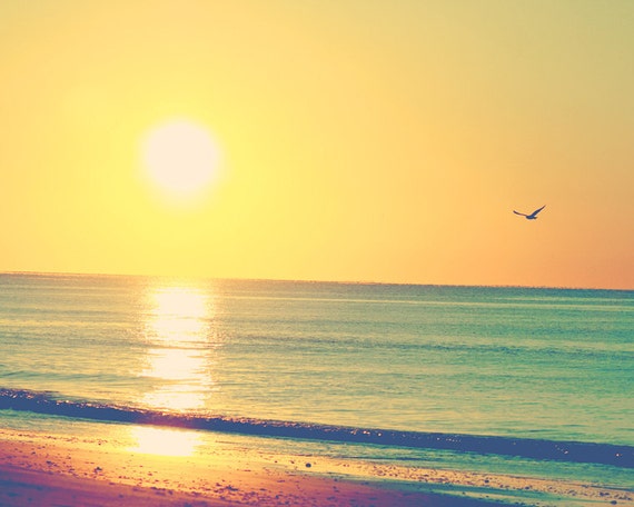 Beach Sunrise Tumblr