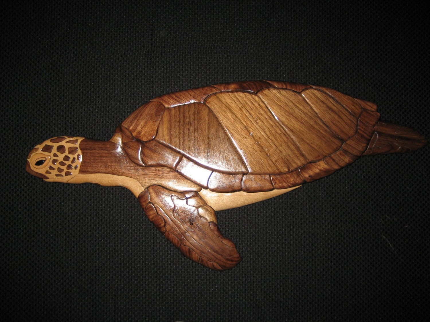 Intarsia Turtle by DisenosArana on Etsy