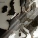 Europe Map Puzzle - Stained Birch Plywood
