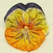 Ribbon Pansy Pin - Yellow and Purple with Hand Embroidery