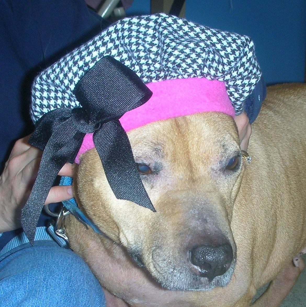 Houndstooth Doggy Beret Dog Beret Hats for Dogs pet