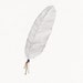 Feather on white - original illustration on paper