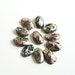 Abalone Paua Shell Oval Beads (5) Pcs